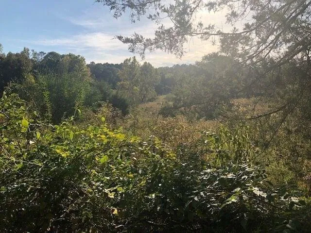 Plot For Sale In Calhoun, Tennessee
