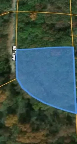Plot For Sale In Camden, Tennessee