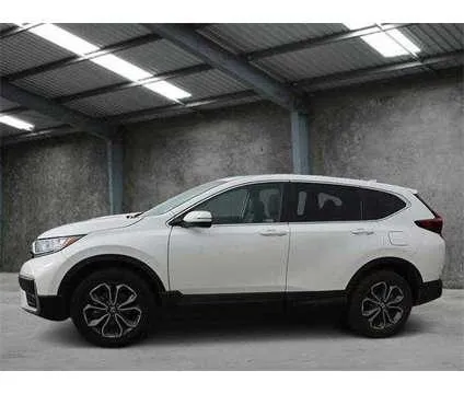 2021 Honda CR-V AWD EX-L for Sale