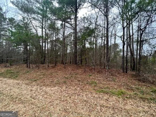 Plot For Sale In Sparta, Georgia