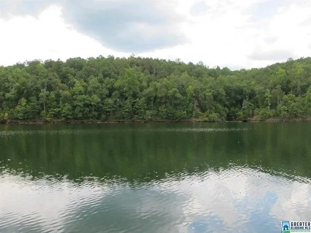 Plot For Sale In Wedowee, Alabama