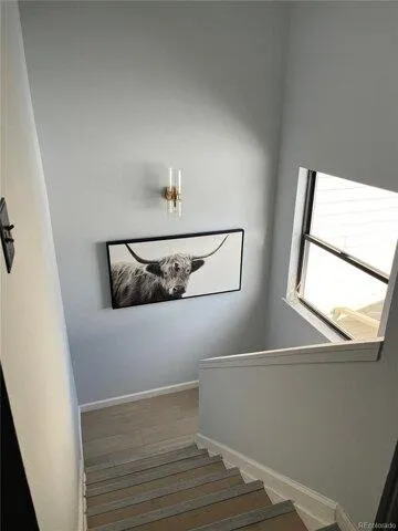 Condo For Rent In Denver, Colorado