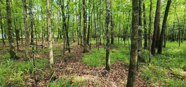 Plot For Sale In Mathews, Alabama