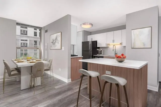 0 bedroom in Chicago IL 60601 for Rent