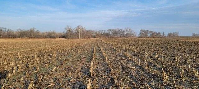 Plot For Sale In Washington, Indiana