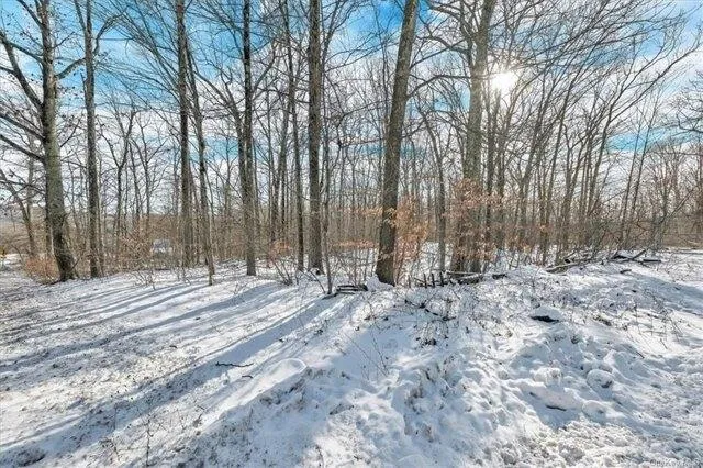 Plot For Sale In Plattekill, New York