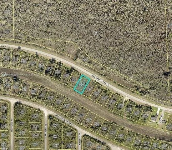 Plot For Sale In Lehigh Acres, Florida