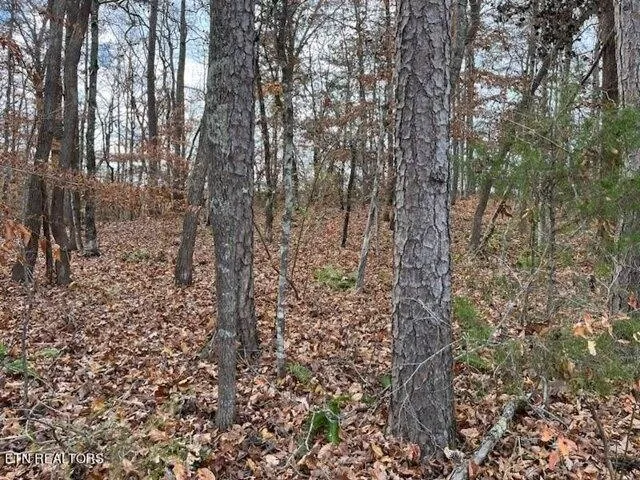 Plot For Sale In La Follette, Tennessee