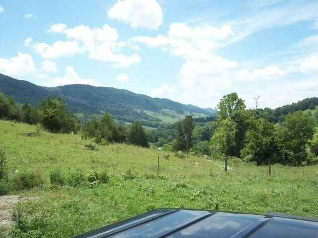 Plot For Sale In Tazewell, Tennessee