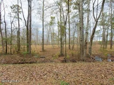 Plot For Sale In Vanceboro, North Carolina