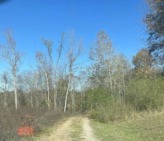 Plot For Sale In Ashland City, Tennessee