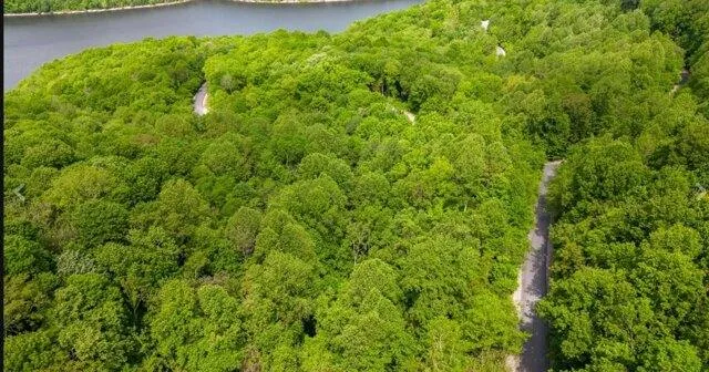 Plot For Sale In Smithville, Tennessee