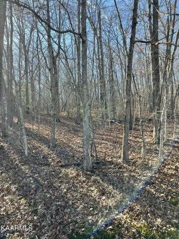 Plot For Sale In Crossville, Tennessee