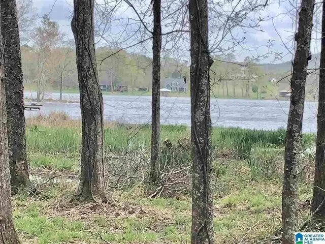 Plot For Sale In Sylacauga, Alabama