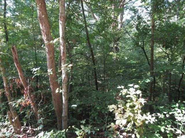 Plot For Sale In Celina, Tennessee