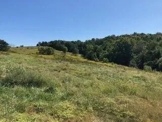 Plot For Sale In Monticello, Kentucky