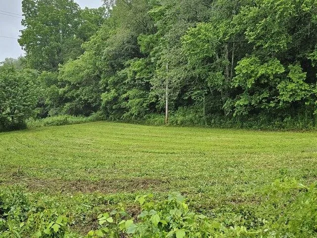Plot For Sale In Woodbury, Tennessee