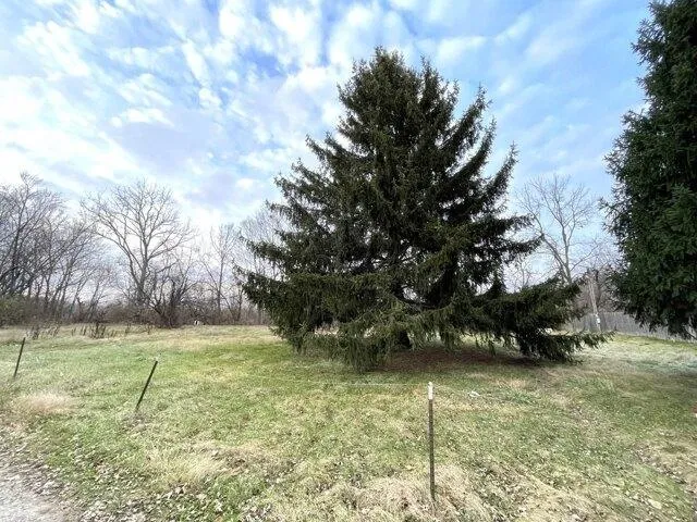 Plot For Sale In Indianapolis, Indiana