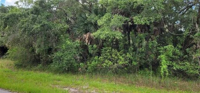 Plot For Sale In Port Charlotte, Florida