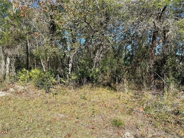 Plot For Sale In Homosassa, Florida