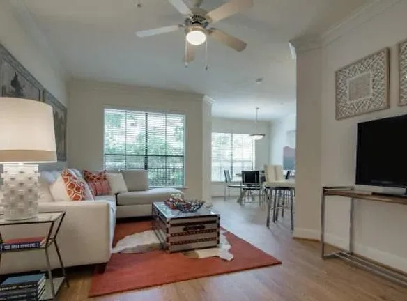 3121 Buffalo Speedway unit 327 Houston, TX 77098 - Home For Rent