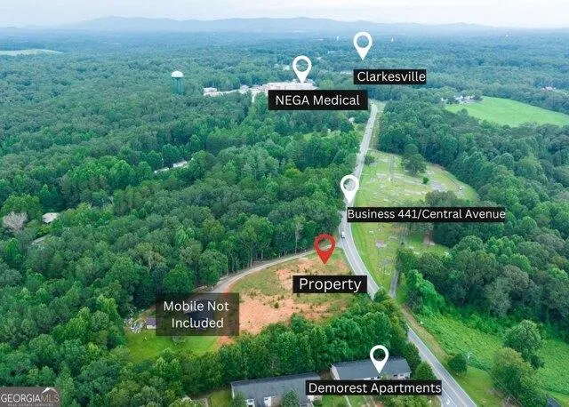 Plot For Sale In Demorest, Georgia