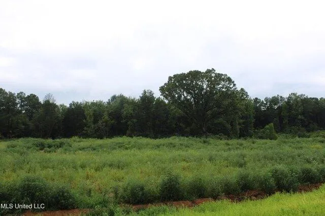 Plot For Sale In Byhalia, Mississippi