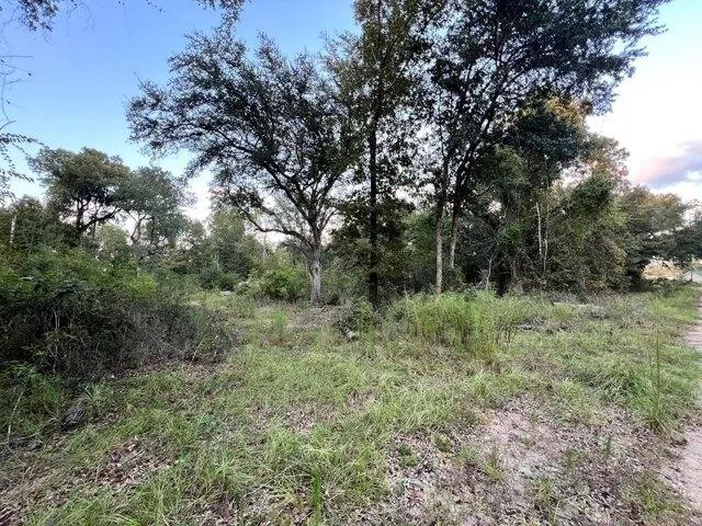 Plot For Sale In Donalsonville, Georgia