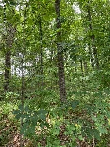Plot For Sale In Hernando, Mississippi