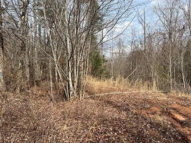 Plot For Sale In Newport, Tennessee