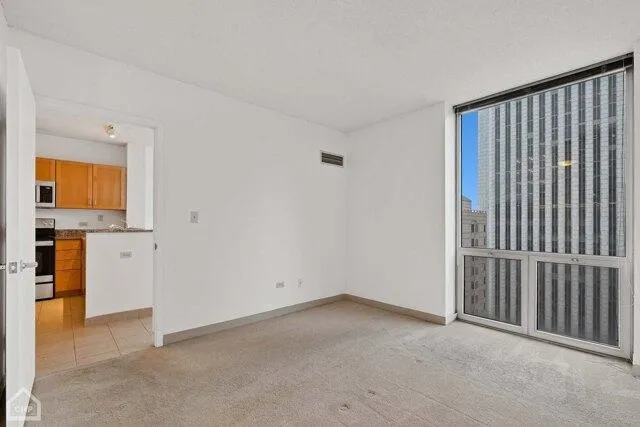 Condo For Rent In Chicago, Illinois