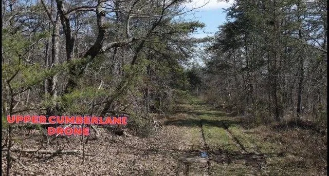 Plot For Sale In Crossville, Tennessee