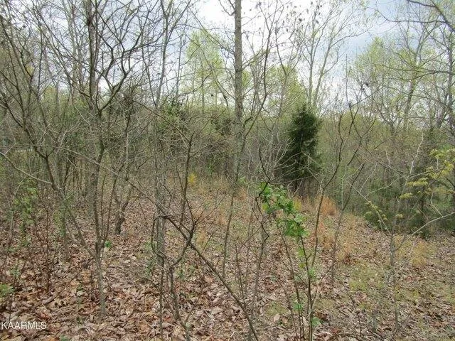 Plot For Sale In Celina, Tennessee