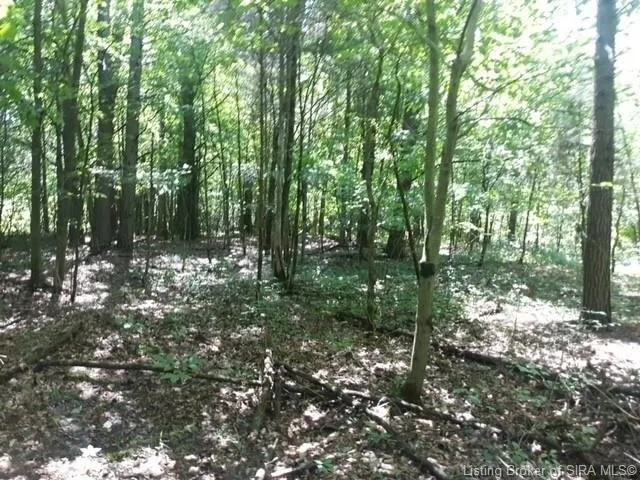 Plot For Sale In Lexington, Indiana