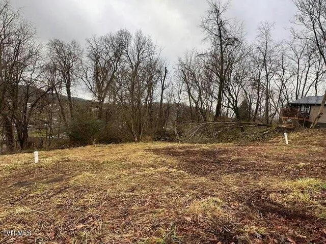 Plot For Sale In Bristol, Virginia