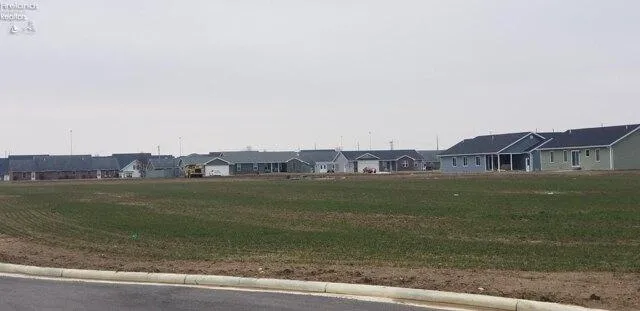 Plot For Sale In Carey, Ohio