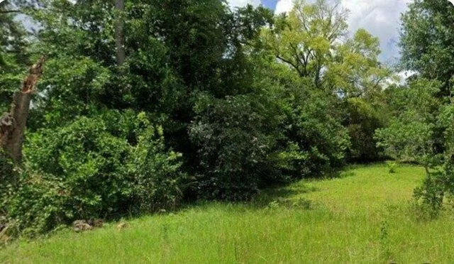 Plot For Sale In Albany, Georgia