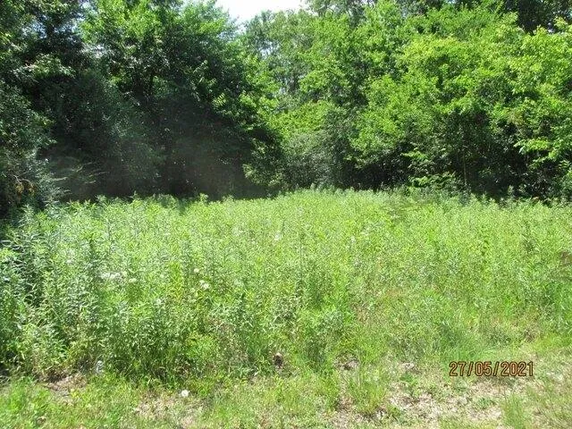 Plot For Sale In Laurel, Mississippi
