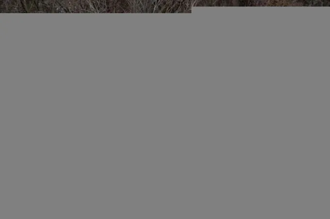 2019 Mercedes-Benz GLS 450 4MATIC SUV for sale