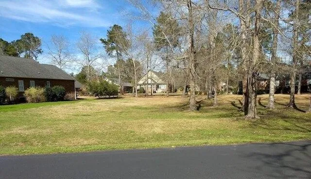 Plot For Sale In Manning, South Carolina