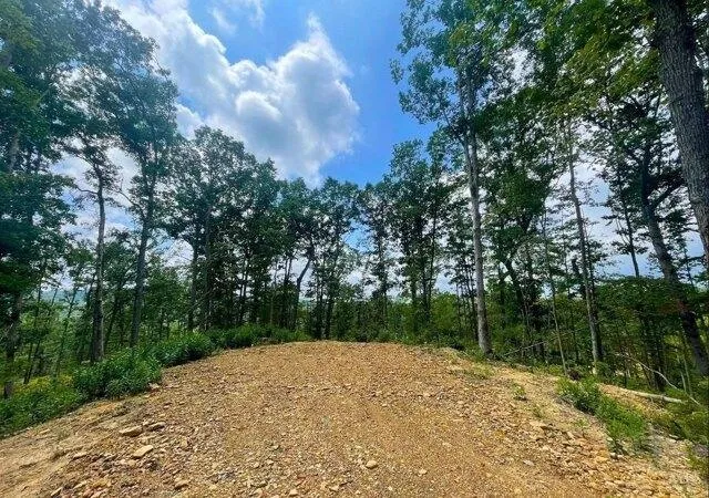 Plot For Sale In Meigs Township, Ohio