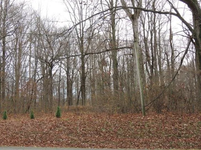 Plot For Sale In Greensburg, Indiana