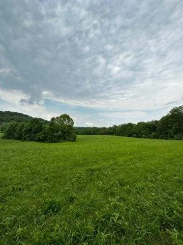 Plot For Sale In Olive Hill, Kentucky