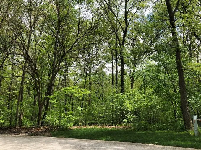 7 Turtle Point, Monticello, IL 61856 - MLS 11071834 for Sale