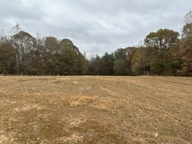 Plot For Sale In Sardis, Mississippi