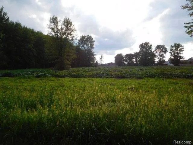 Plot For Sale In Chesterfield Township, Michigan