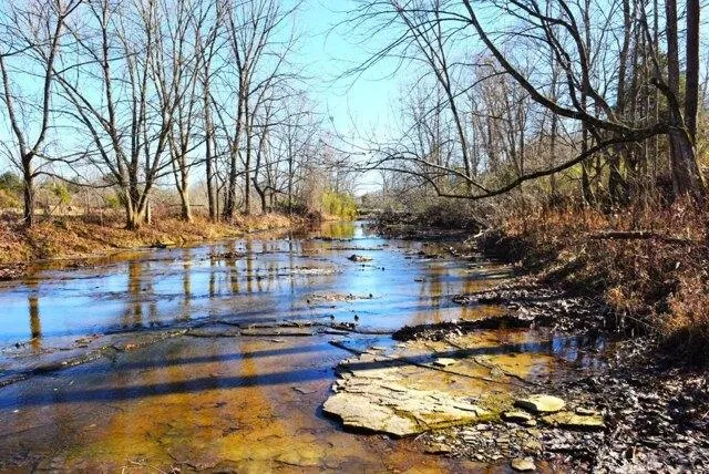 Plot For Sale In Edmonton, Kentucky