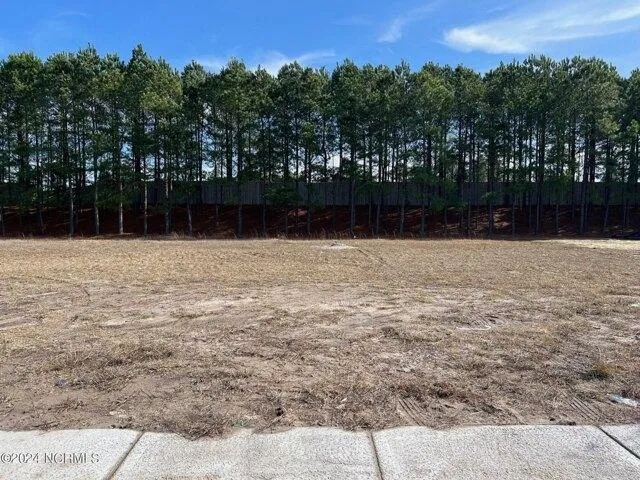 Plot For Sale In Leland, North Carolina