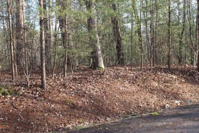 Plot For Sale In Ellijay, Georgia
