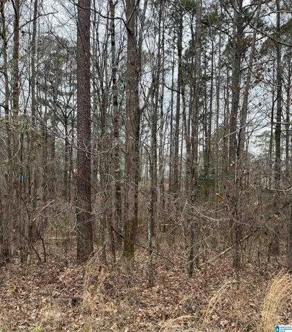 Plot For Sale In Mccalla, Alabama